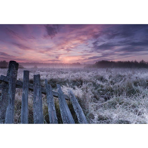 Dawn Of Bialowieza Meadows Black Modern Wood Framed Art Print with Double Matting by Lorant, Krzysztof