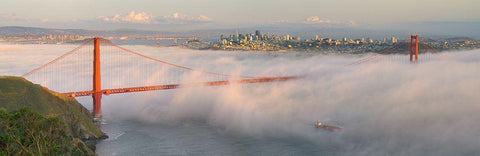 Engulfed Black Ornate Wood Framed Art Print with Double Matting by Scarbrough, David