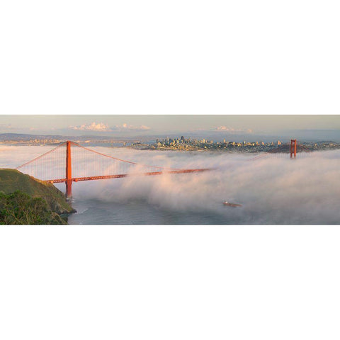 Engulfed Black Modern Wood Framed Art Print by Scarbrough, David