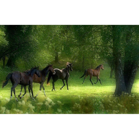 Running Horses Gold Ornate Wood Framed Art Print with Double Matting by Wallberg, Allan