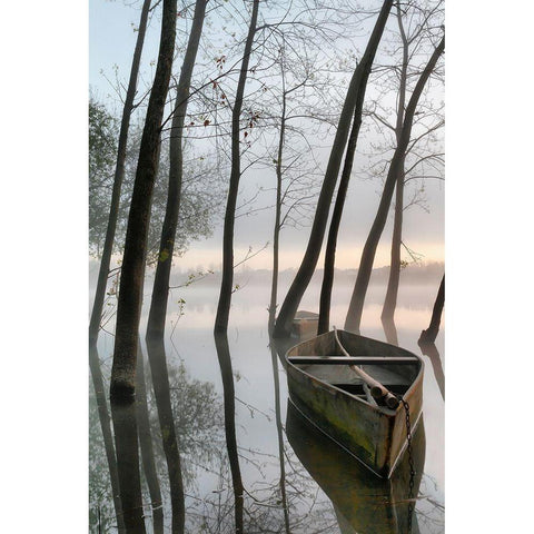 Serene Dawn White Modern Wood Framed Art Print by David, Rui