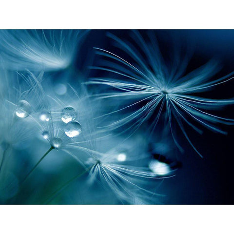 Soft Touch Black Modern Wood Framed Art Print by K.H., Adriana