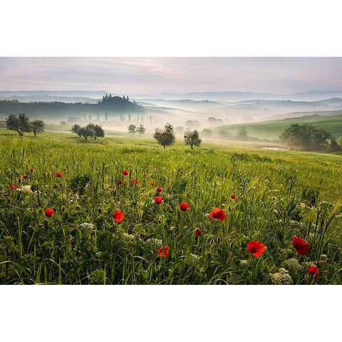 Tuscan Spring Gold Ornate Wood Framed Art Print with Double Matting by Rericha, Daniel