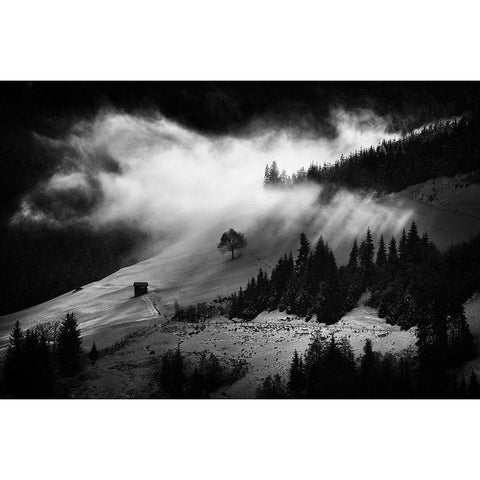 Morning Fog Black Modern Wood Framed Art Print with Double Matting by Bogdan, Marchevca