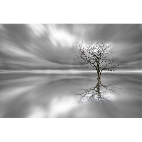 Ghost Tree Black Modern Wood Framed Art Print with Double Matting by Londal, Leif