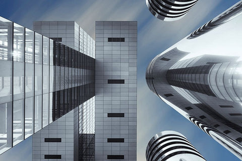 Symbiosis Black Ornate Wood Framed Art Print with Double Matting by Jonkman, Gerard