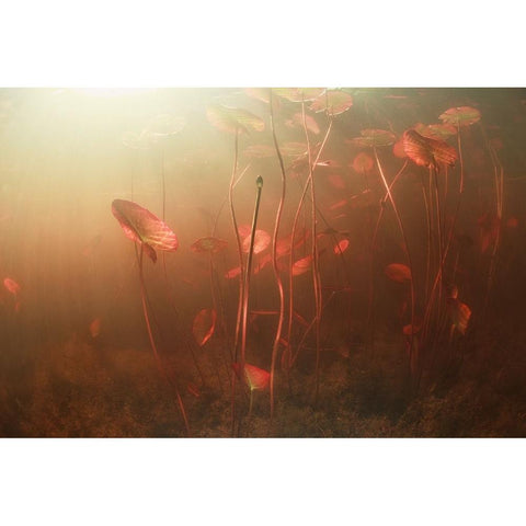 Lines World Black Modern Wood Framed Art Print with Double Matting by Narchuk, Andrey