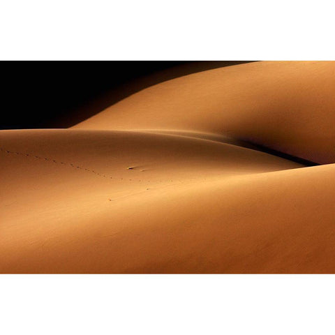 Desert And The Human Torso Black Modern Wood Framed Art Print by Bakhtari Bonab, Ebrahim