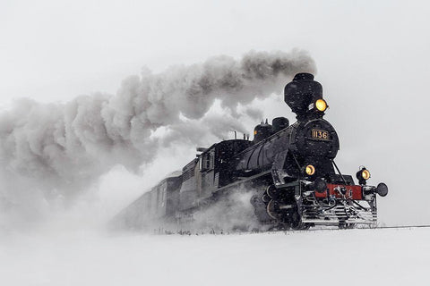 Little-Jumbo Black Ornate Wood Framed Art Print with Double Matting by Aho, Harri