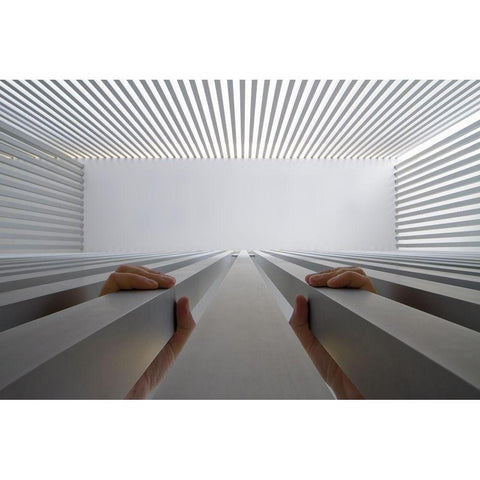 Out! Black Modern Wood Framed Art Print by P Neto, Filipe