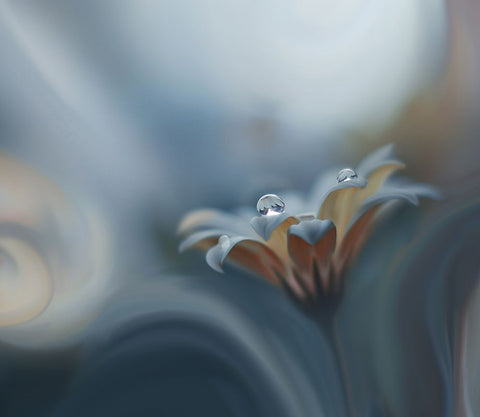Infinite Longing... White Modern Wood Framed Art Print with Double Matting by Nan, Juliana