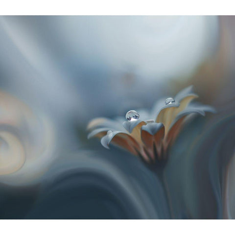 Infinite Longing... Gold Ornate Wood Framed Art Print with Double Matting by Nan, Juliana