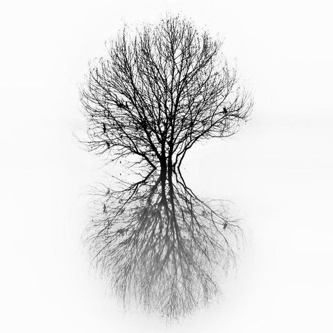 Diluvium White Modern Wood Framed Art Print with Double Matting by Abrantes, Paulo