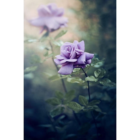 Untitled Gold Ornate Wood Framed Art Print with Double Matting by Ajkabajka