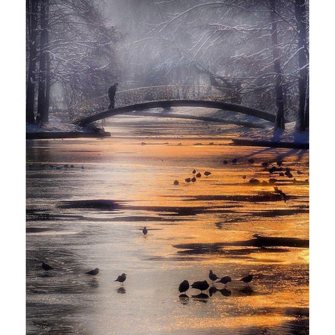 Frozen Lake Black Modern Wood Framed Art Print with Double Matting by Andreescu, Cristian