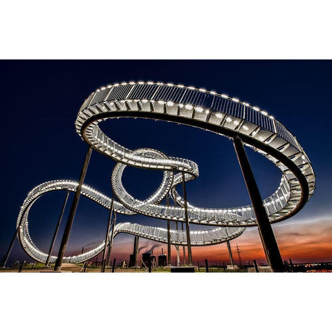 Tiger And Turtle At Dawn Black Modern Wood Framed Art Print with Double Matting by Schmidtke, Holger