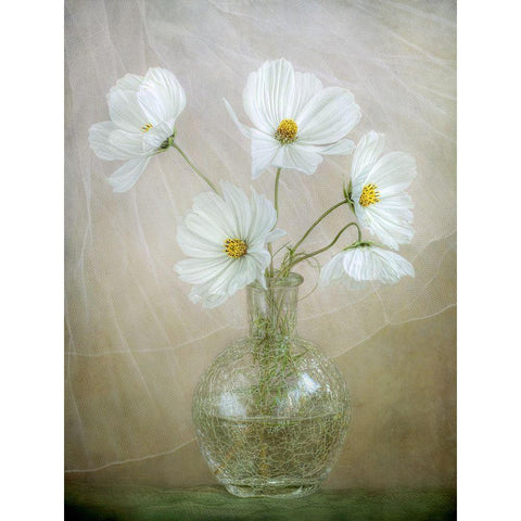 Cosmos Breeze White Modern Wood Framed Art Print by Disher, Mandy