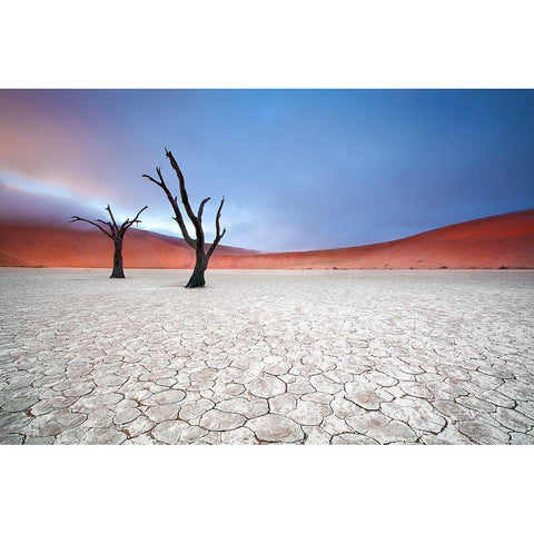 Mist Over Deadvlei White Modern Wood Framed Art Print by Mcrae, Ben