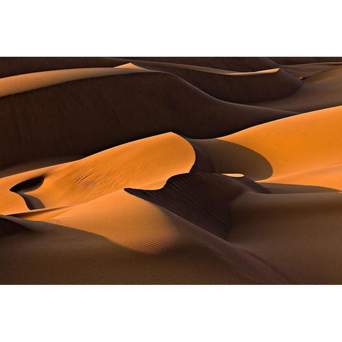 Morning Light Black Modern Wood Framed Art Print with Double Matting by Momeni, Mohammadreza