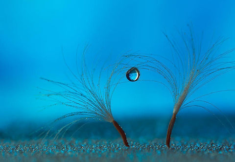 Keep The Balance Black Ornate Wood Framed Art Print with Double Matting by Westum, Heidi