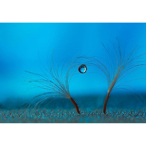 Keep The Balance Black Modern Wood Framed Art Print with Double Matting by Westum, Heidi