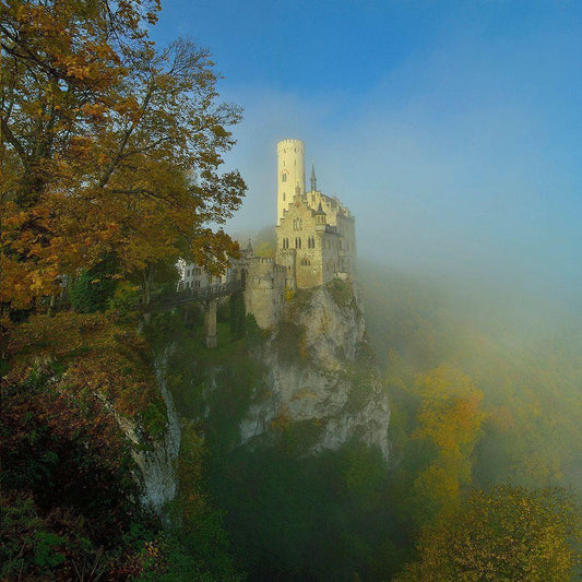 Image Only