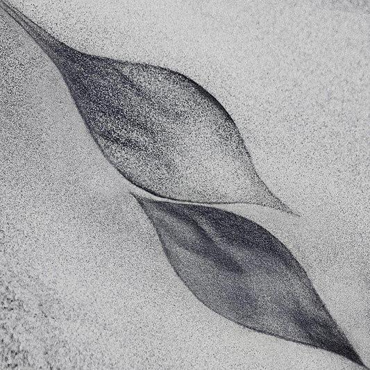 Image Only