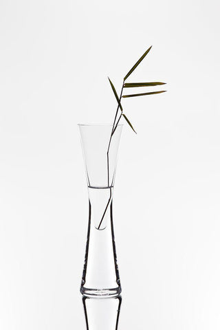 Bamboo White Modern Wood Framed Art Print with Double Matting by Pabst, Christian