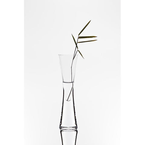 Bamboo Black Modern Wood Framed Art Print with Double Matting by Pabst, Christian