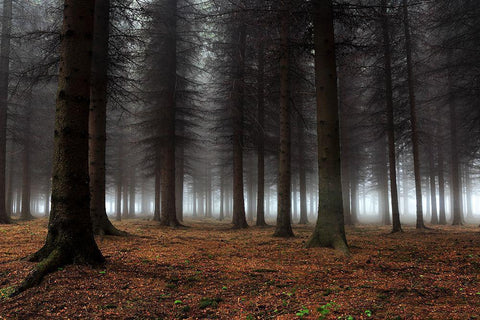 Place Of Silence White Modern Wood Framed Art Print with Double Matting by Petrovic, Dragisa