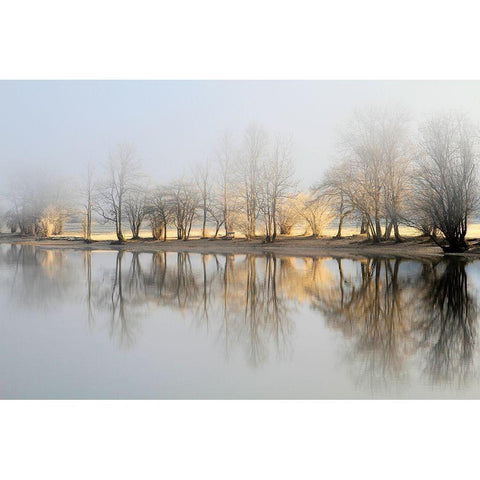 January Morning Black Modern Wood Framed Art Print with Double Matting by Bor