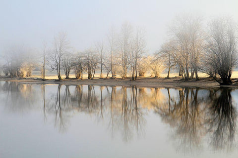 January Morning White Modern Wood Framed Art Print with Double Matting by Bor