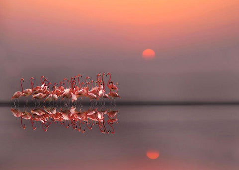 Purple Sunset Black Ornate Wood Framed Art Print with Double Matting by Cseresnjes, Anna