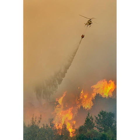 Untitled Black Modern Wood Framed Art Print with Double Matting by Grambone, Antonio