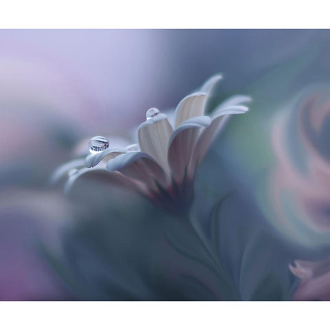Behind Closed Eyes... Gold Ornate Wood Framed Art Print with Double Matting by Nan, Juliana