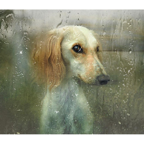 That Autumn... Gold Ornate Wood Framed Art Print with Double Matting by Melik-Nubarova, Svetlana