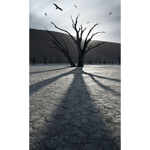 900 Years After Black Modern Wood Framed Art Print with Double Matting by Del Grosso, Sebastien