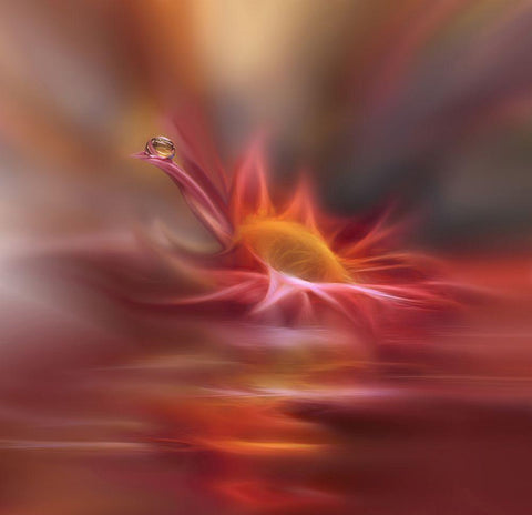 Song Of My Soul... White Modern Wood Framed Art Print with Double Matting by Nan, Juliana