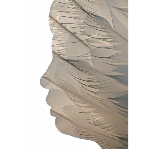 Feathered Black Modern Wood Framed Art Print with Double Matting by Melnotte, Mike