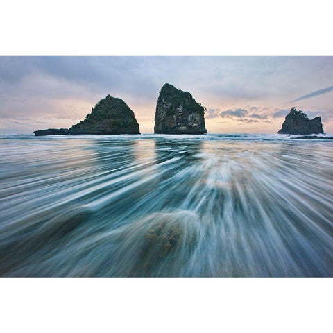 Wild West Coast Black Modern Wood Framed Art Print with Double Matting by Zhang, Yan