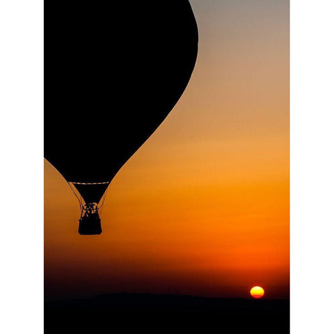 Two Balloons Gold Ornate Wood Framed Art Print with Double Matting by Eliash, Tomer