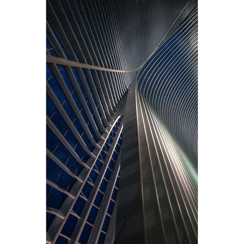 Calatrava Lines At The Blue Hour Gold Ornate Wood Framed Art Print with Double Matting by Van Den, Jef