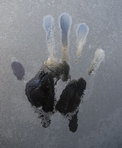 Cold Glass Black Ornate Wood Framed Art Print with Double Matting by Westling, Leif