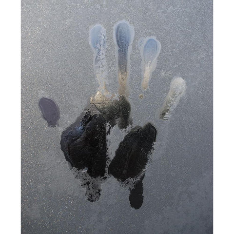 Cold Glass Black Modern Wood Framed Art Print by Westling, Leif