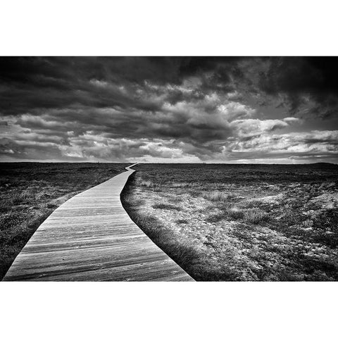 The Way White Modern Wood Framed Art Print by Pascual Buye, Santiago