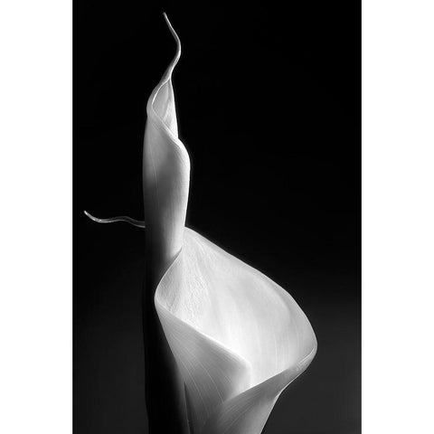 Female Curves Gold Ornate Wood Framed Art Print with Double Matting by Pascual Buye, Santiago