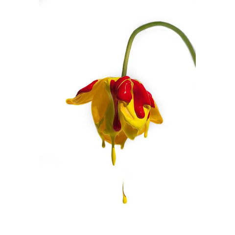 Crying Flower White Modern Wood Framed Art Print by Mathiesen, Kent