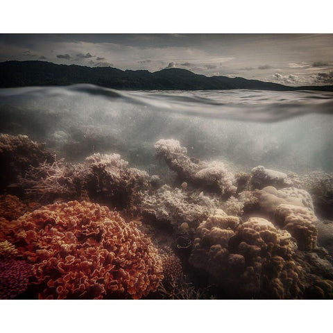 Underwater Evening Black Modern Wood Framed Art Print with Double Matting by Stranak, Pavol