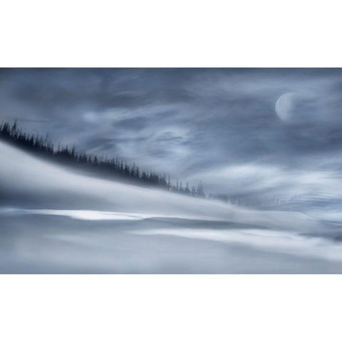 Winter Night White Modern Wood Framed Art Print by Westum, Heidi