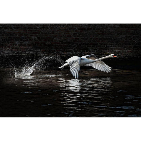 LEnvol Gold Ornate Wood Framed Art Print with Double Matting by Flour, Piet